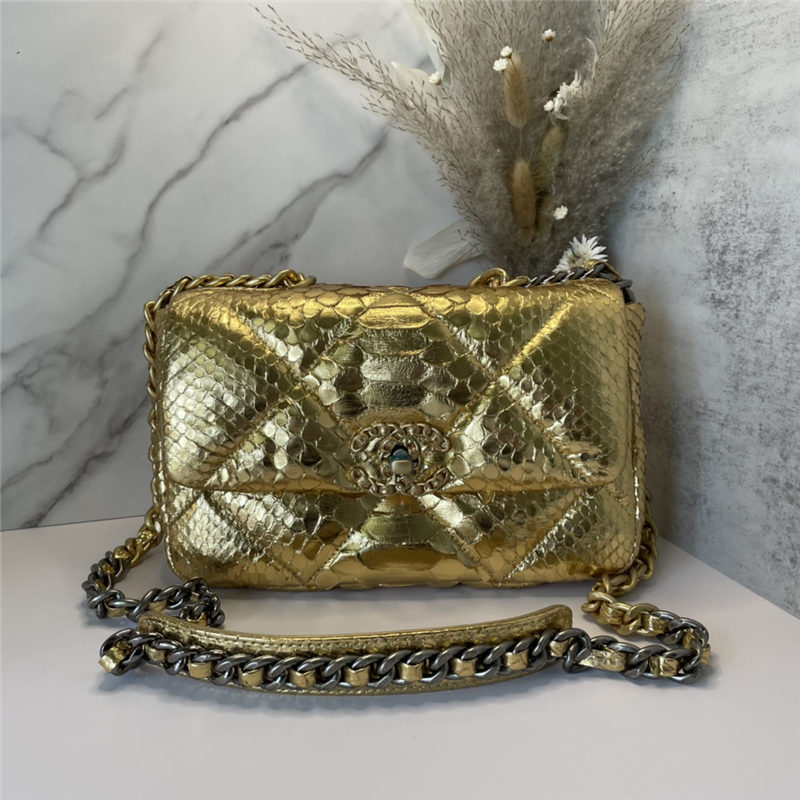 Chanel 19 Flap Bag Snake LB11214 (1)