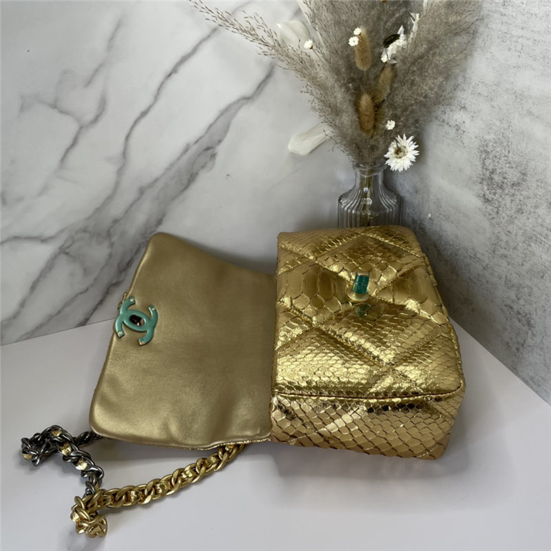 Chanel 19 Flap Bag Snake LB11214 (3)