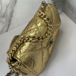 Chanel 19 Flap Bag Snake LB11214 (6)