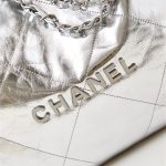 Chanel 22 BACKPACK Metallic Calfskin LB14519 (2)