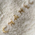 Chanel 22 BACKPACK Shearling Lambskin LB15669 (3)