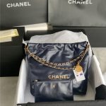Chanel 22 BACKPACK Shiny Calfskin LB10345 (1)