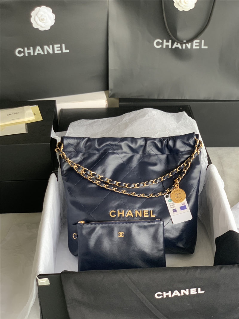 Chanel 22 BACKPACK Shiny Calfskin LB10345 (1)