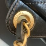 Chanel 22 BACKPACK Shiny Calfskin LB10350-1 (2)