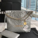 Chanel 22 BACKPACK Shiny Calfskin LB11234 (1)