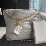 Chanel 22 BACKPACK Shiny Calfskin LB11234 (2)