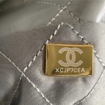 Chanel 22 BACKPACK Shiny Calfskin LB11234 (3)