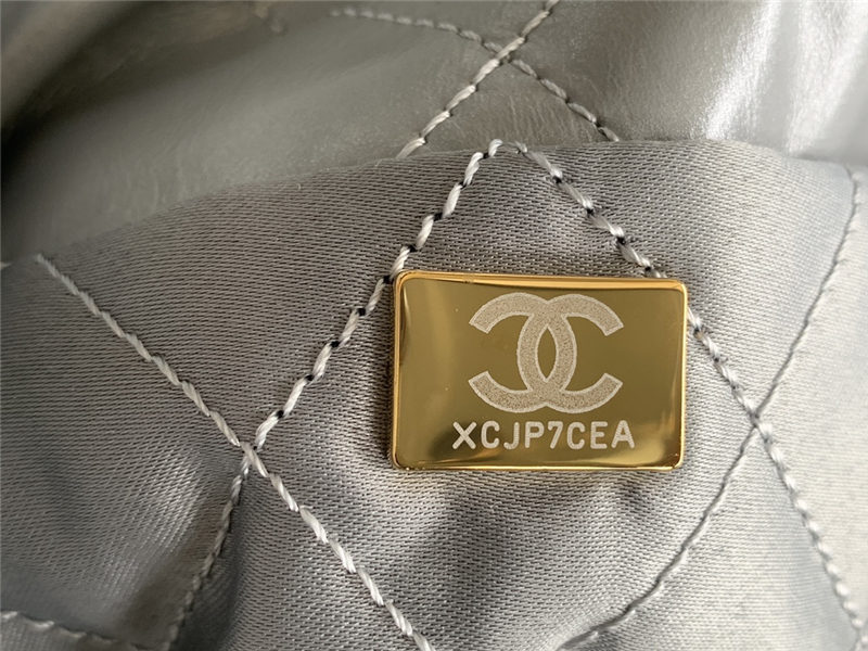 Chanel 22 BACKPACK Shiny Calfskin LB11234 (3)