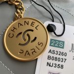 Chanel 22 BACKPACK Shiny Calfskin LB11234 (4)