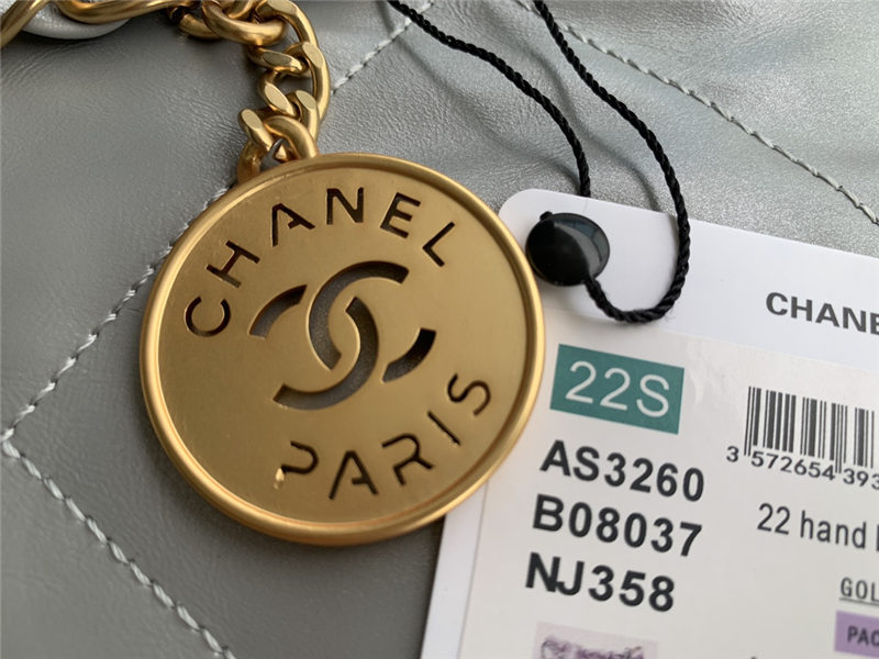 Chanel 22 BACKPACK Shiny Calfskin LB11234 (4)