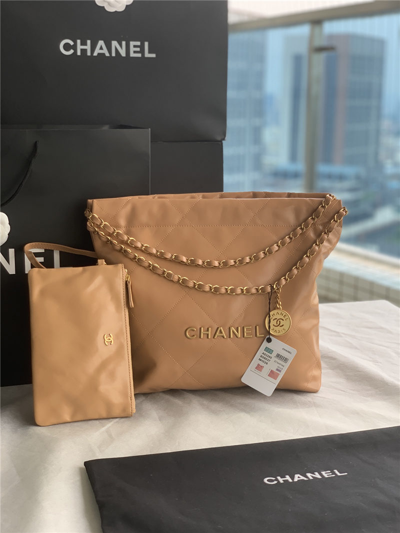 Chanel 22 BACKPACK Shiny Calfskin LB11235 (1)