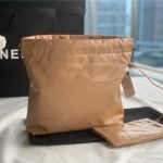 Chanel 22 BACKPACK Shiny Calfskin LB11235 (2)