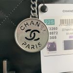 Chanel 22 BACKPACK Shiny Calfskin LB11612 (6)