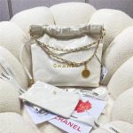 Chanel 22 BACKPACK Shiny Calfskin LB9810 (1)