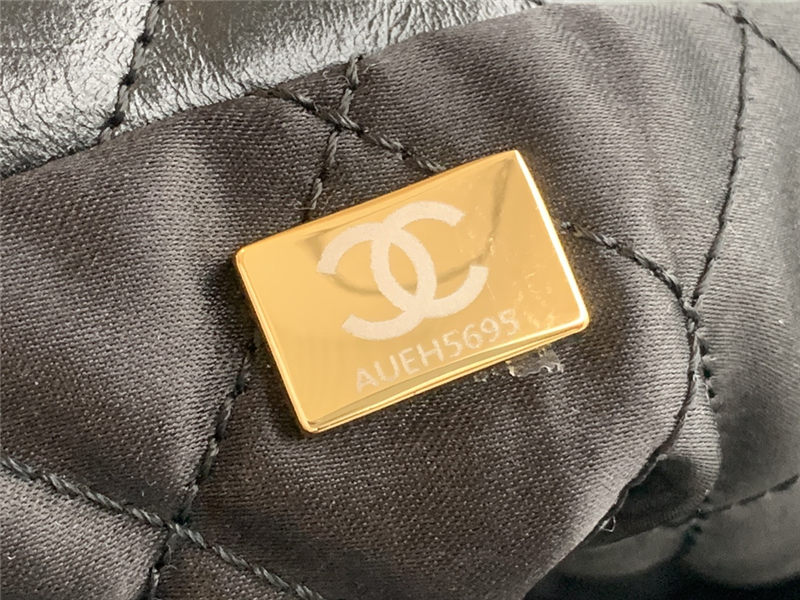 Chanel 22 BACKPACK Shiny Calfskin LB9811 (2)