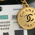 Chanel 22 BACKPACK Shiny Calfskin LB9811 (4)
