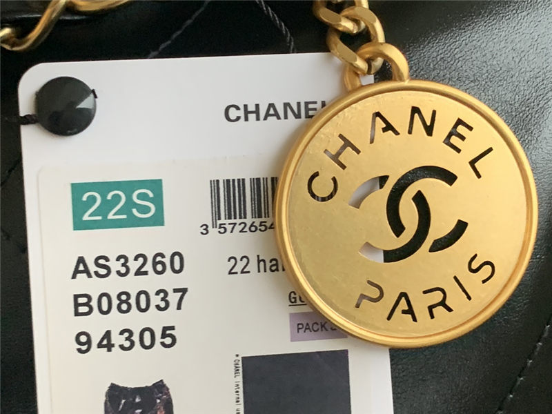 Chanel 22 BACKPACK Shiny Calfskin LB9811 (4)