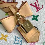 LV Murakami Speedy Bandoulière 25 Monogram canvas LB1174 (3)