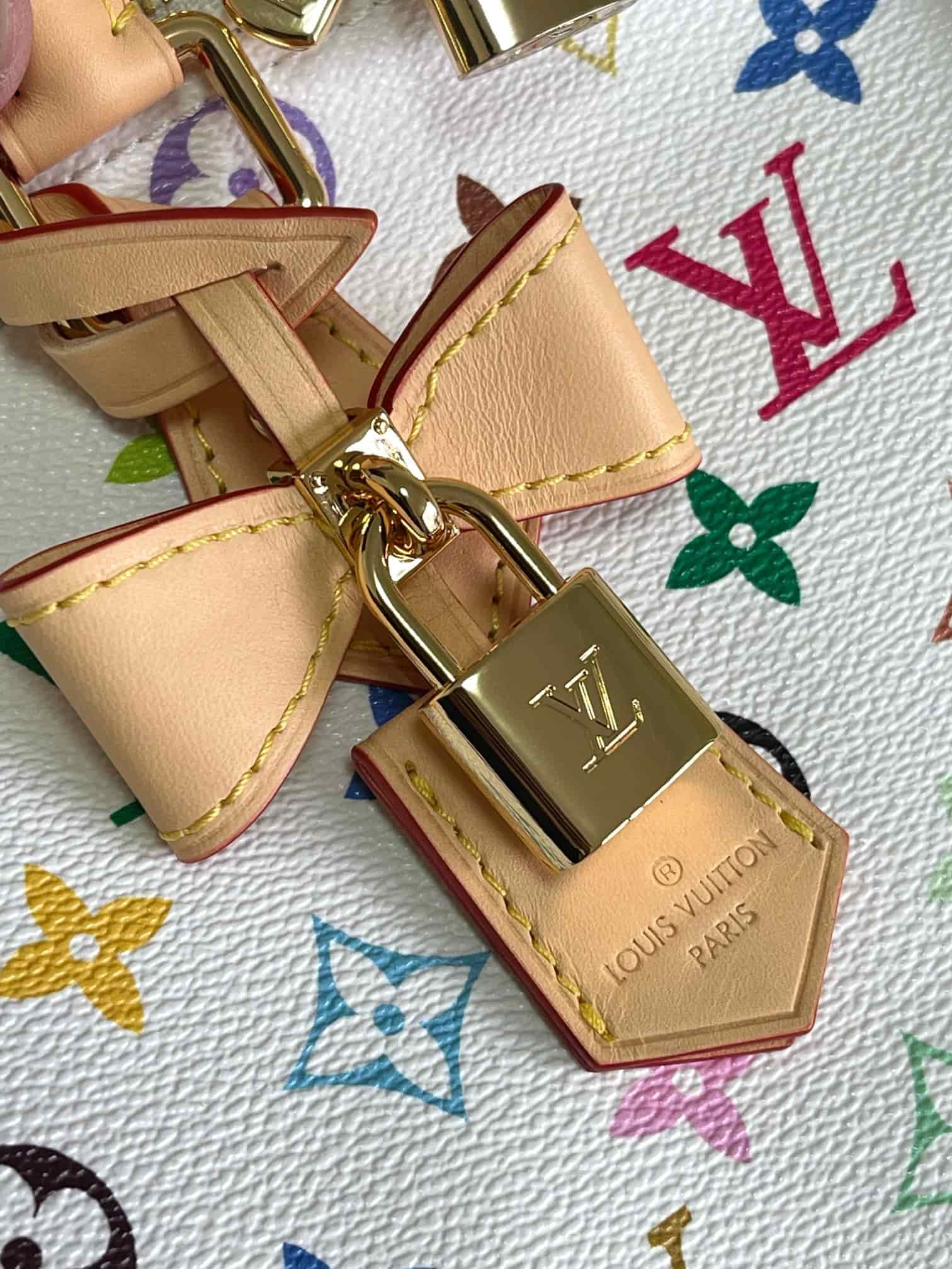 LV Murakami Speedy Bandoulière 25 Monogram canvas LB1174 (3)
