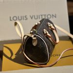 LV Nano Speedy Monogram Canvas LB2068 (2)