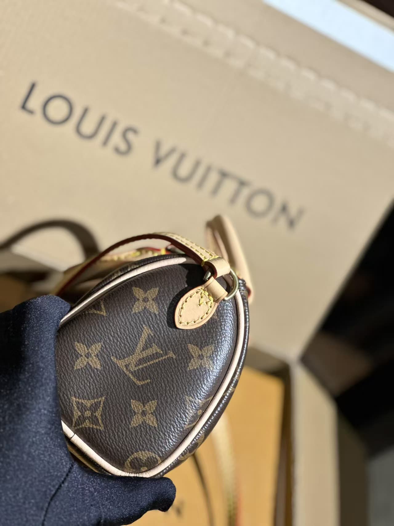 LV Nano Speedy Monogram Canvas LB2068 (4)