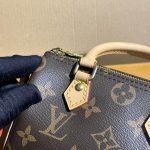 LV Nano Speedy Monogram Canvas LB2068 (6)