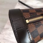 Louis Vuitton Alma BB Monogram Ebene LB2174 (3)
