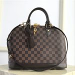 Louis Vuitton Alma PM Damier Ebene LB1679 (1)