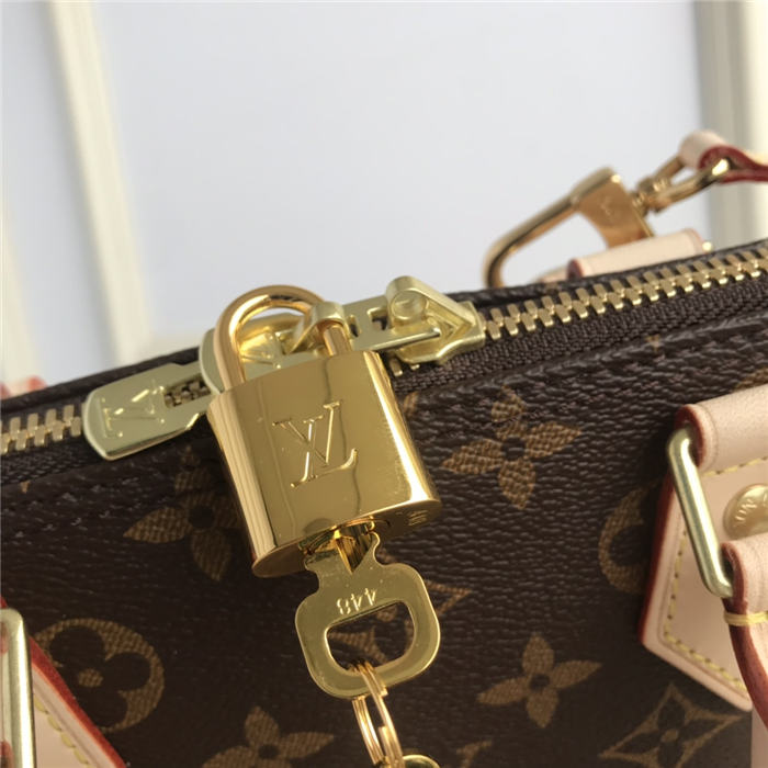 Louis Vuitton Alma PM Monogram LB1903 (4)