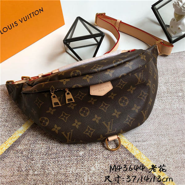 Louis Vuitton Bumbag Monogram Canvas LB1956 (1)
