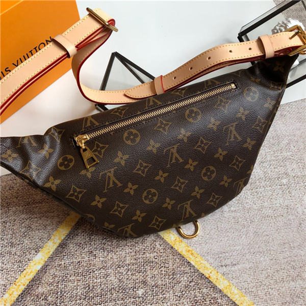Louis Vuitton Bumbag Monogram Canvas LB1956 (2)