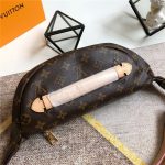 Louis Vuitton Bumbag Monogram Canvas LB1956 (3)