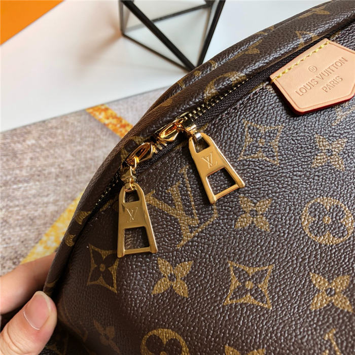 Louis Vuitton Bumbag Monogram Canvas LB1956 (4)