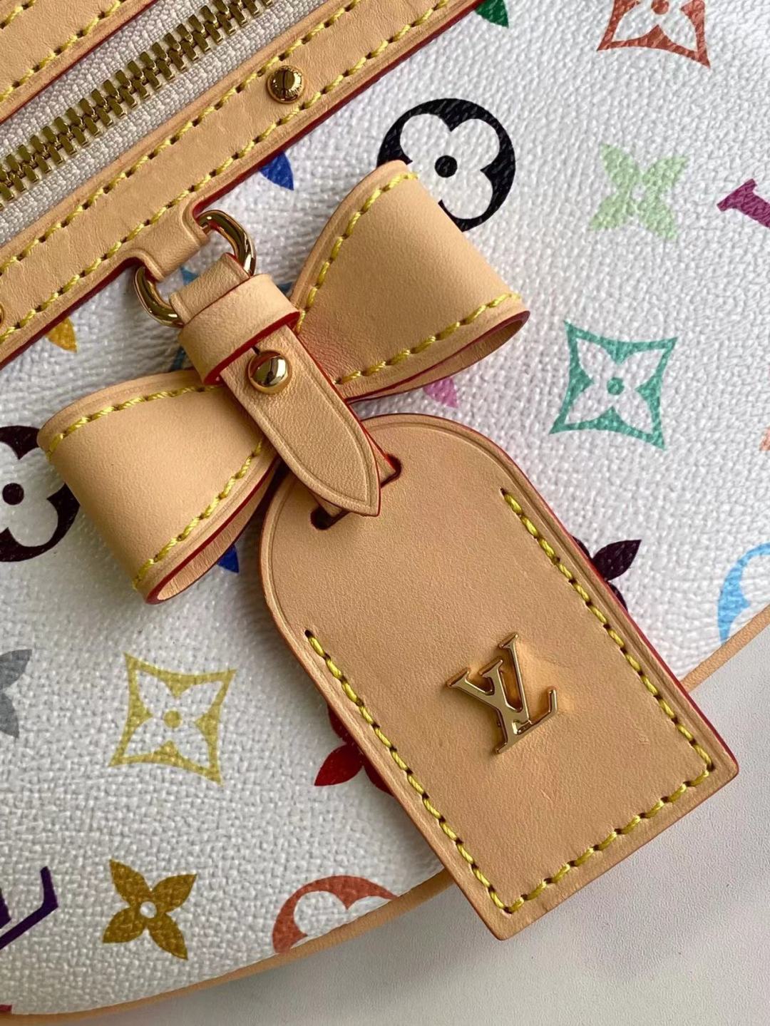 Louis Vuitton Bumbag x Murakami LB14881 (4)