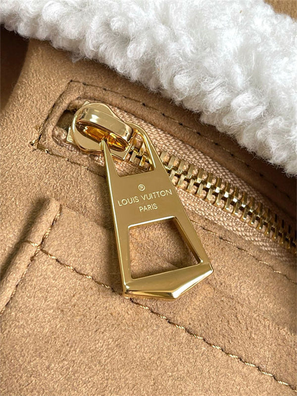 Louis Vuitton CARRYALL PM Suede leather LB15389 (5)