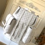 Louis Vuitton CHRISTOPHER BACKPACK Taurillon cowhide LB5427 (1)