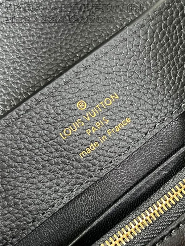 Louis Vuitton Capucines East-West Mini Grained calfskin LB14698 (2)