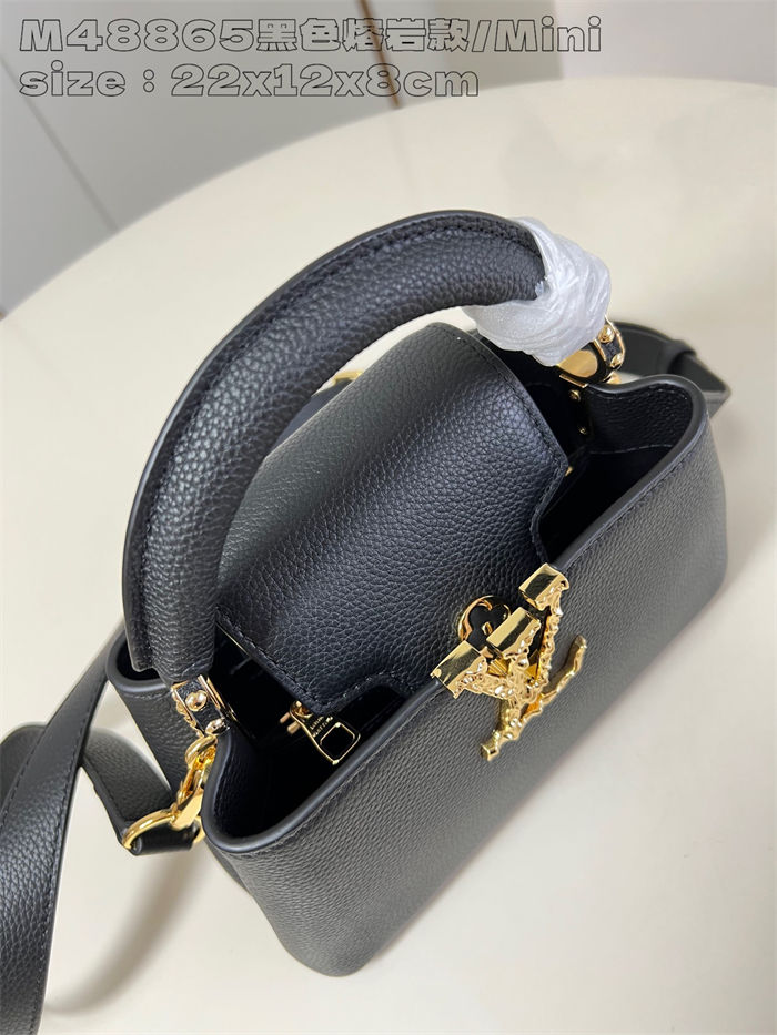 Louis Vuitton Capucines East-West Mini Grained calfskin LB14698 (4)