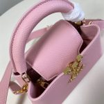 Louis Vuitton Capucines East-West Mini Grained calfskin LB14699 (5)