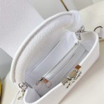 Louis Vuitton Capucines East-West Mini Grained calfskin LB14700 (5)