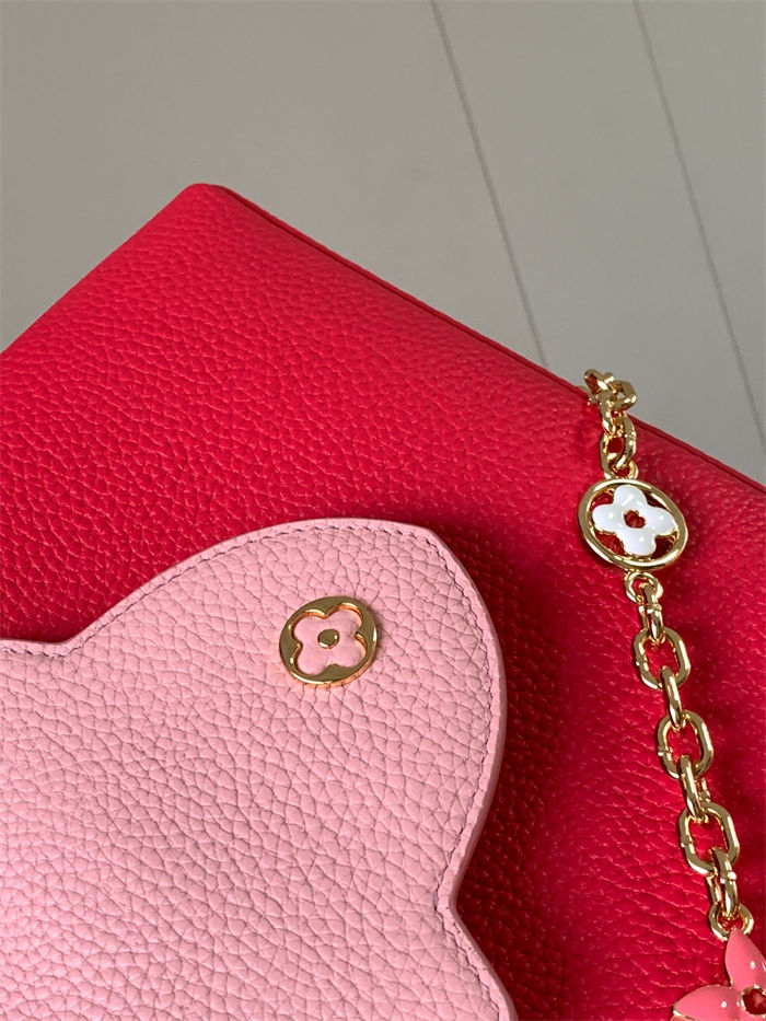 Louis Vuitton Capucines MM Taurillon Leather LB14896 (4)