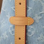 Louis Vuitton CarryAll PM LB11566 (6)