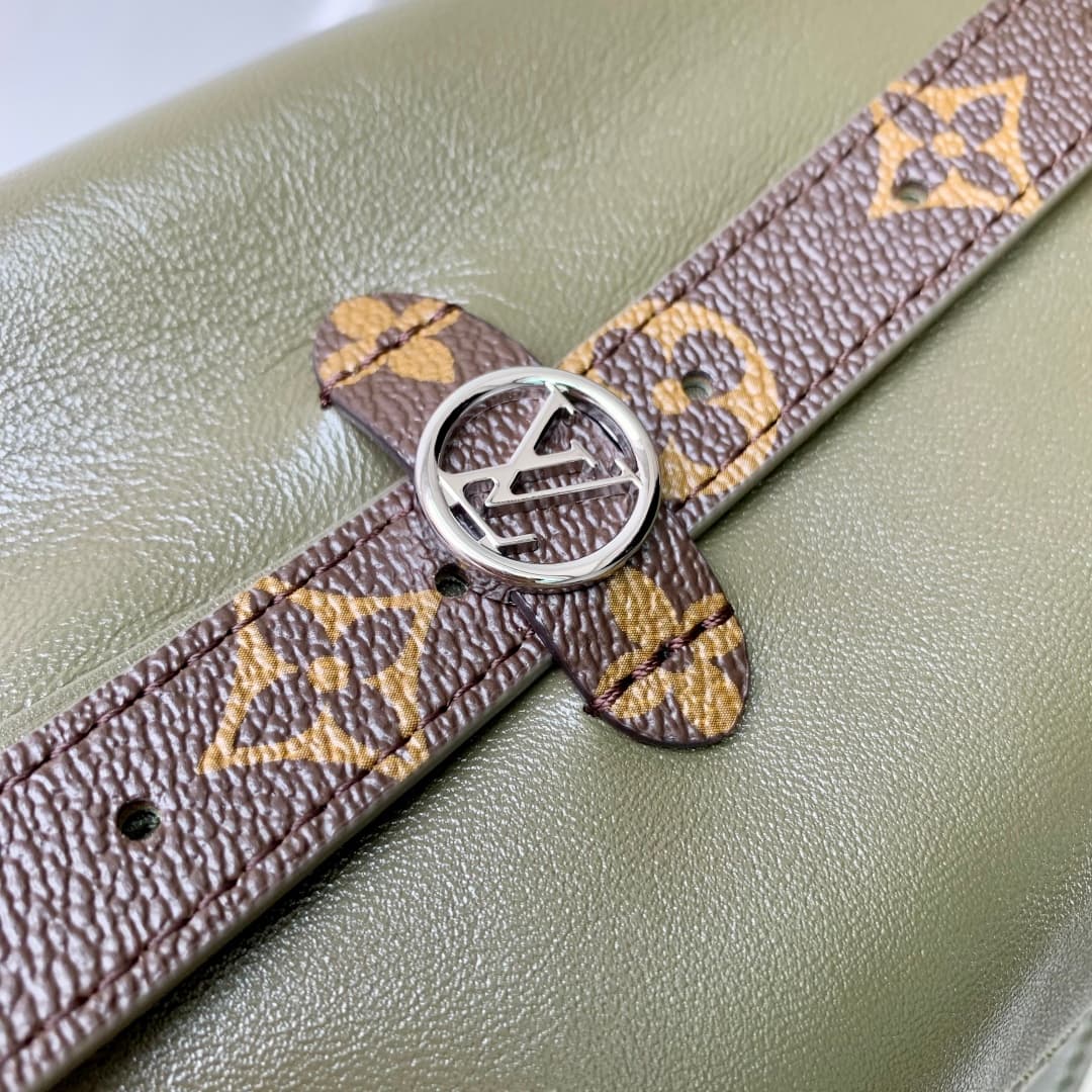 Louis Vuitton Carryall Vibe MM Lamb leather LB22462 (6)