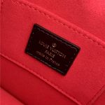 Louis Vuitton DAUPHINE Monogram Love Print LB8822 (5)