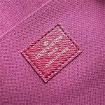 Louis Vuitton FÉLICIE POCHETTE Monogram LB2065 (6)