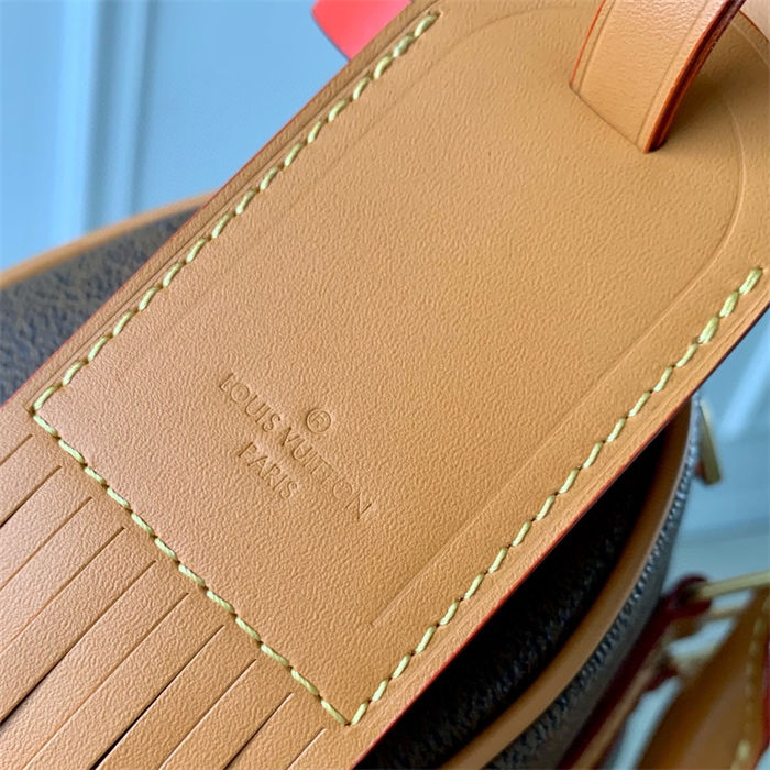 Louis Vuitton Keepall Bandoulière 25 Monogram Dust LB12919 (4)