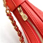 Louis Vuitton LOOP Baguette Calfskin LB8136 (5)