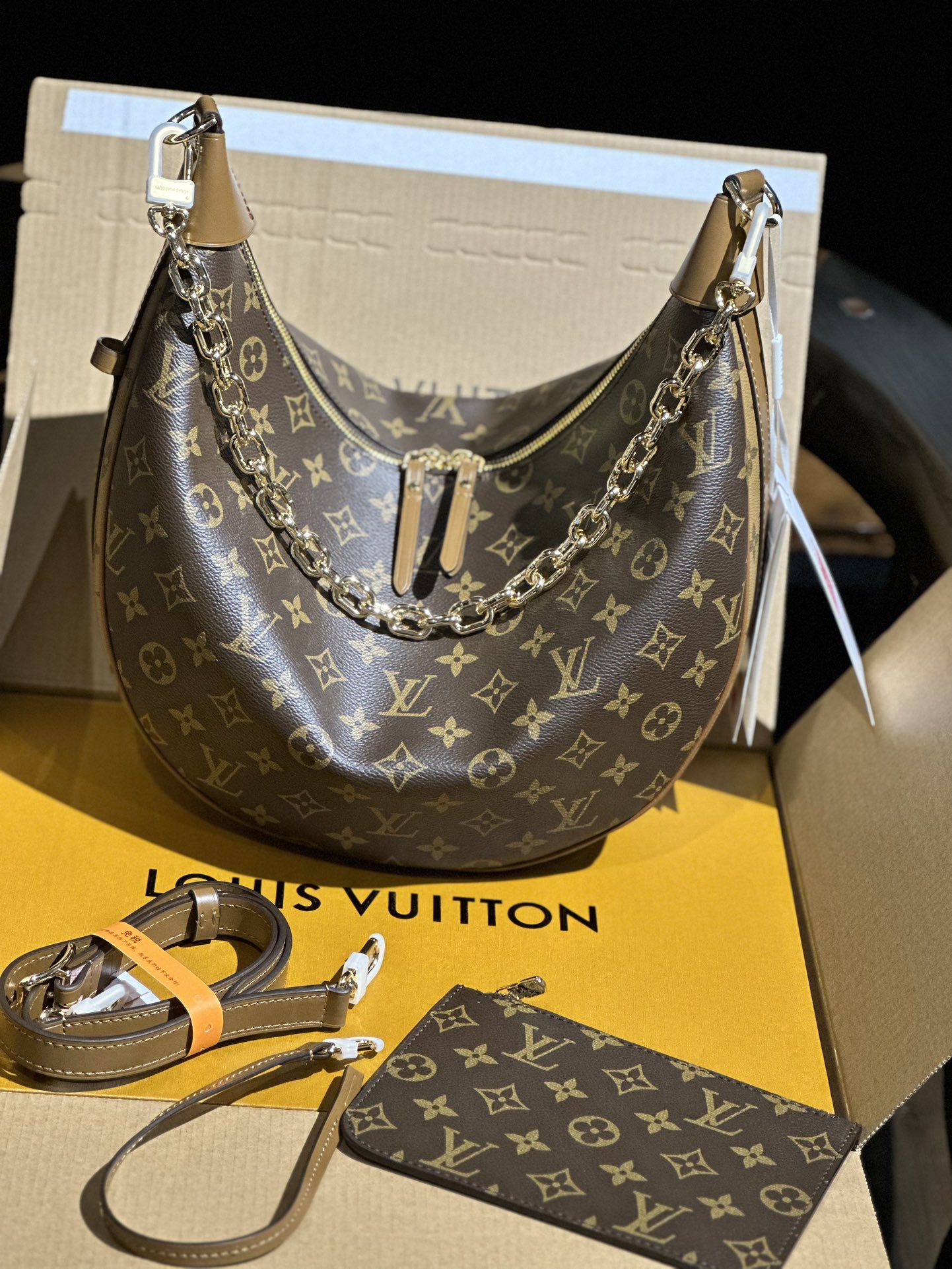 Louis Vuitton LOOP Monogram canvas LB1457 (1)