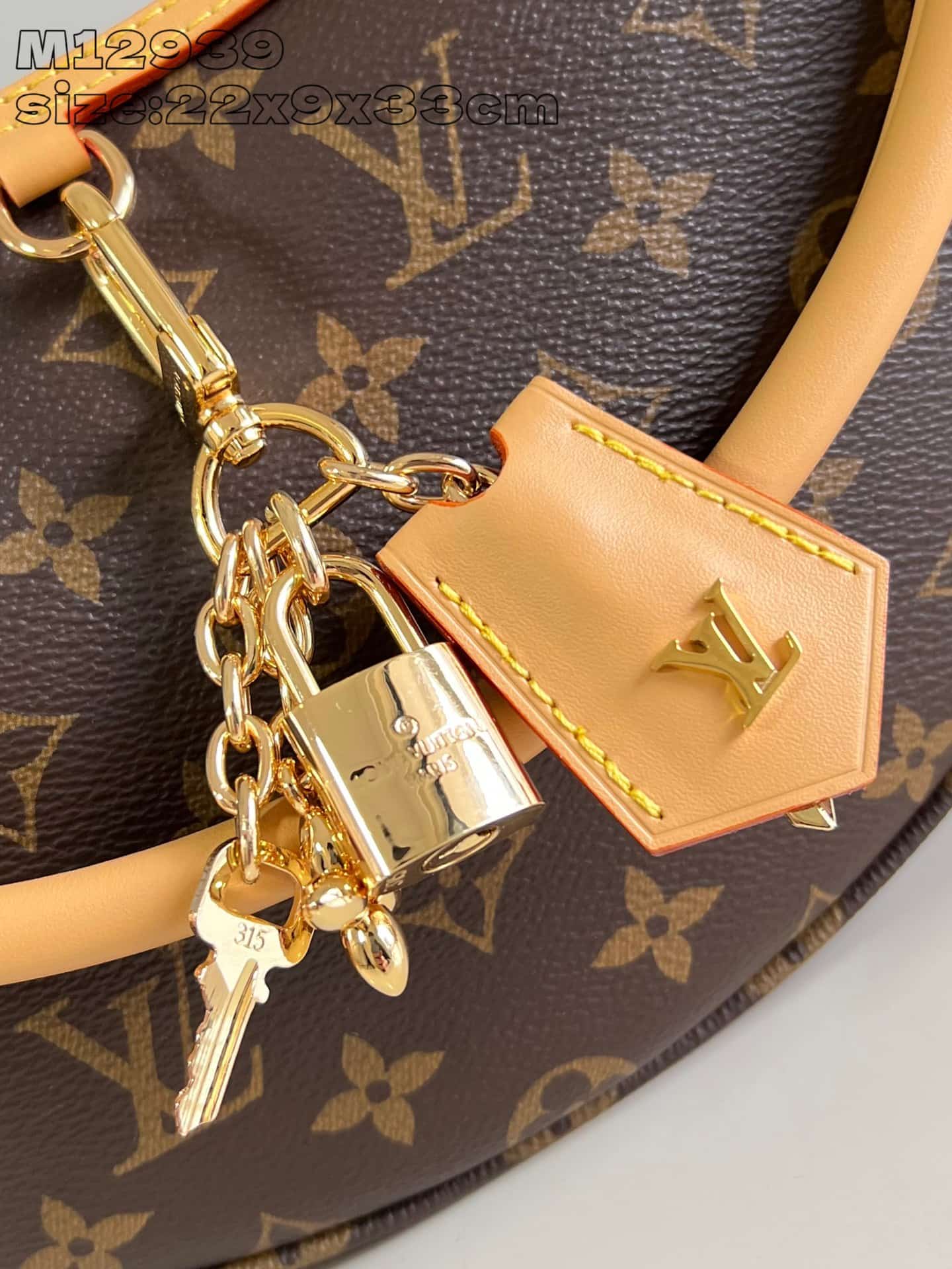 Louis Vuitton LOOP Monogram canvas LB8243 (3)