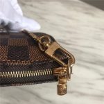 Louis Vuitton MINI POCHETTE ACCESSOIRES Damier Ebene LB5401 (6)